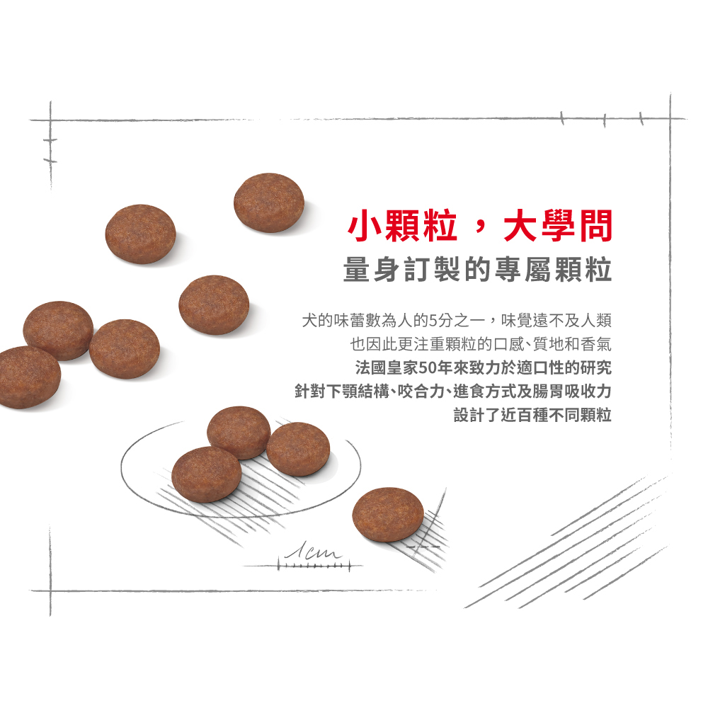 【Royal Canin法國皇家】腸胃保健小型成犬DGMN】腸胃保健小型成犬DGMN, , large