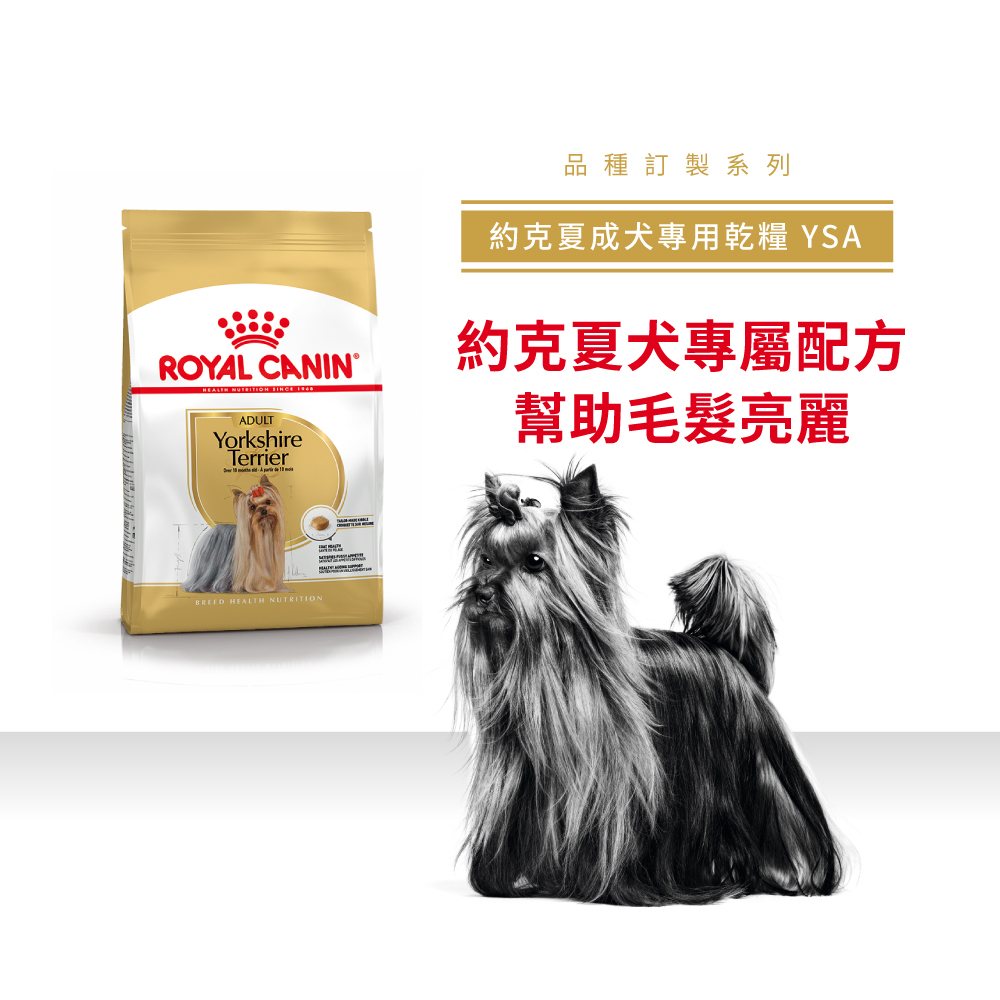 【Royal Canin法國皇家】約克夏成犬YSA, , large