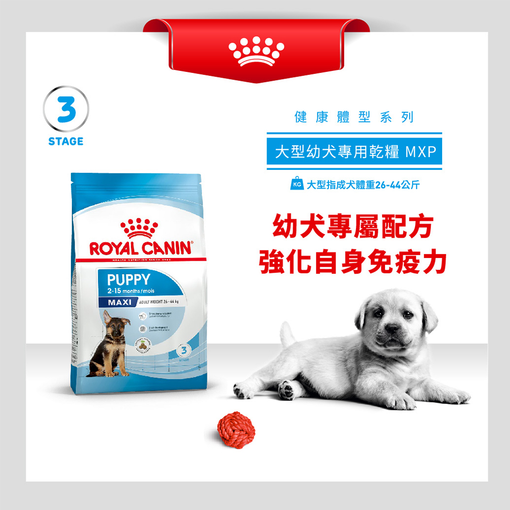 Royal Canin法國皇家 皇家大型幼犬MXP, , large
