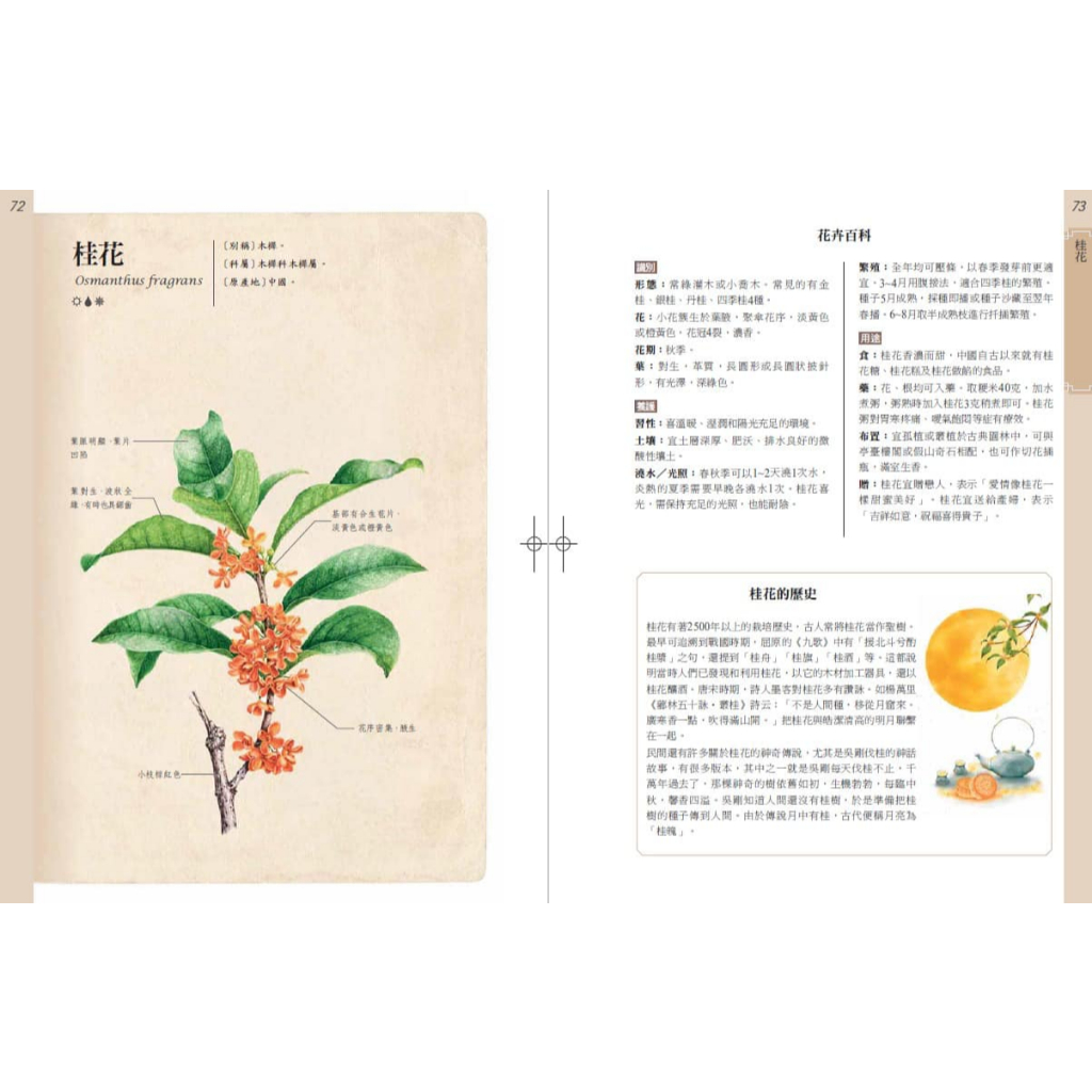 《南門書局》花百科 一巨冊~花卉.觀葉植物.多肉植物.觀果植物, , large