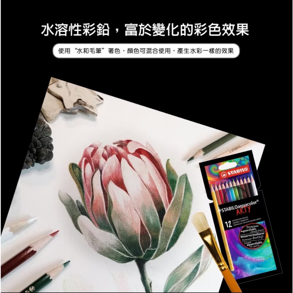 【德國天鵝STABILO】STABILOaquacolor 水彩樂水溶性色鉛筆12色(ST1612/1-20), , large