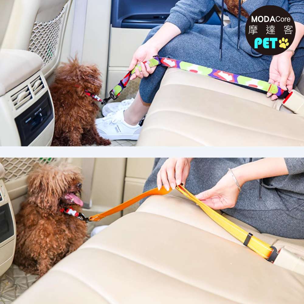 PET seat belt, , large