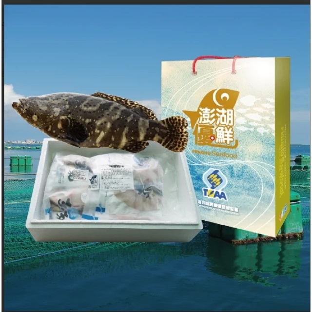 Penghu Youxian certified grouper whole fish cut gift box, , large