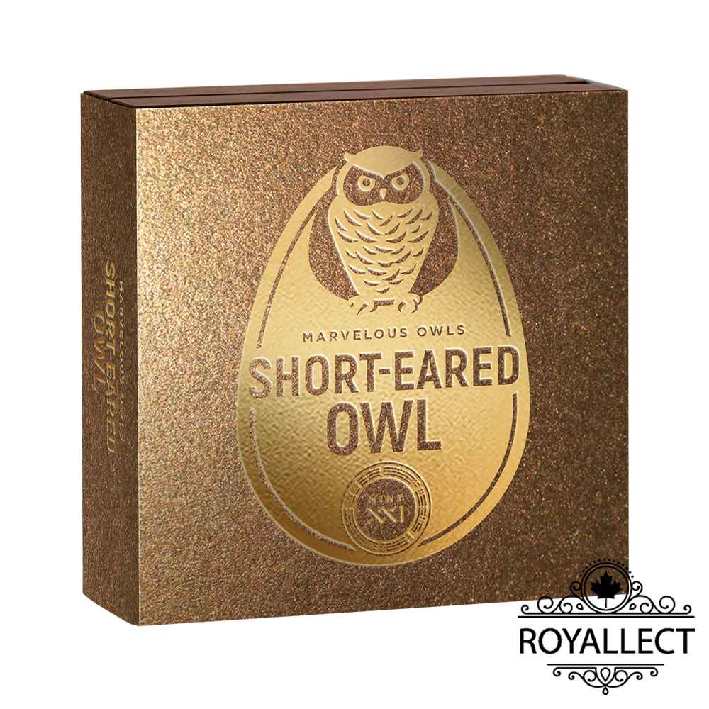 SHORT-EARED OWL Marvelous Owls 1 Oz Silver Coin 2 Dollars Niue 2024, , large