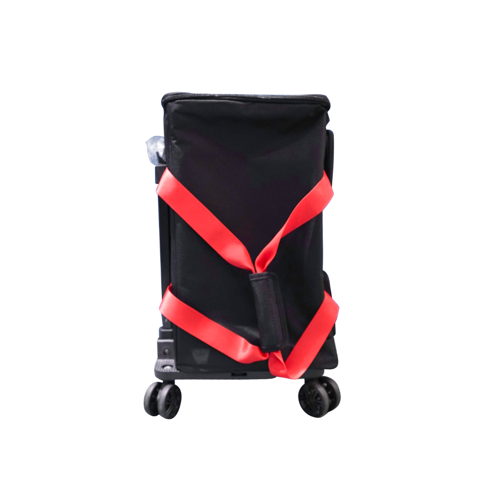 Positive Grid Spark Live Tour Bag 專用收納袋附滾輪【敦煌樂器】, , large