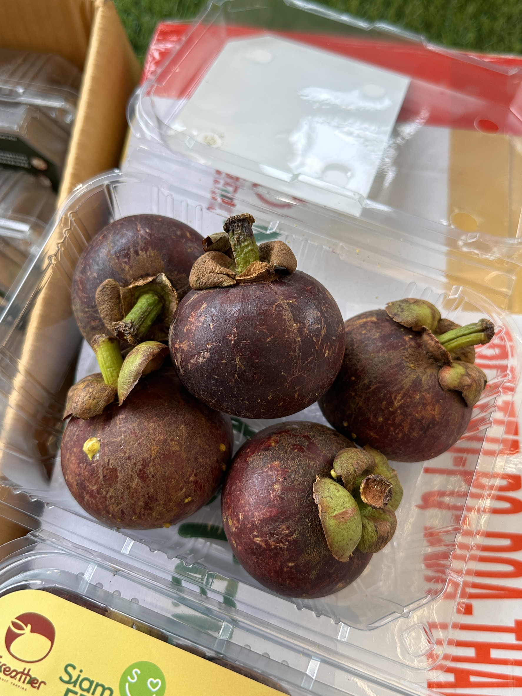 Mangosteen, , large