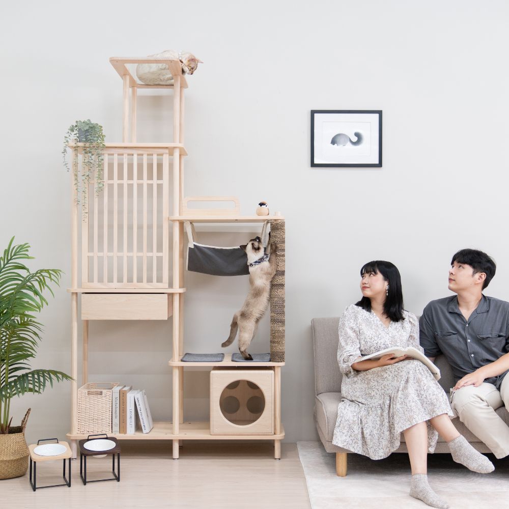【paipaipets】Bien Bien Cat Tree - Standard, , large