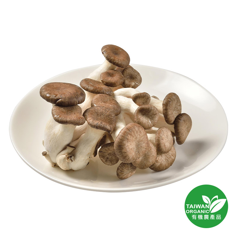 Organic Black Oyster Mushroom, , large