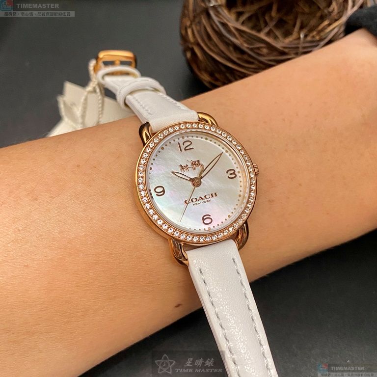 [TIMEMASTER] COACH watch, 28mm, CH00148, , large