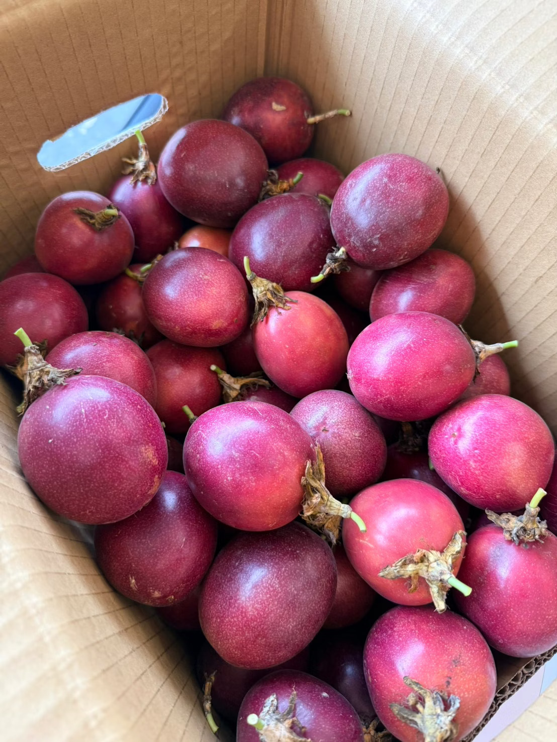 Passion Fruit, , large