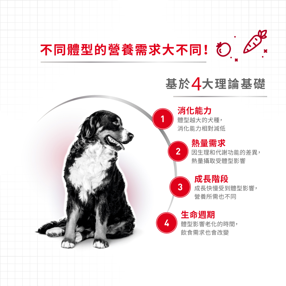 Royal Canin法國皇家 皇家中型成犬MA, , large
