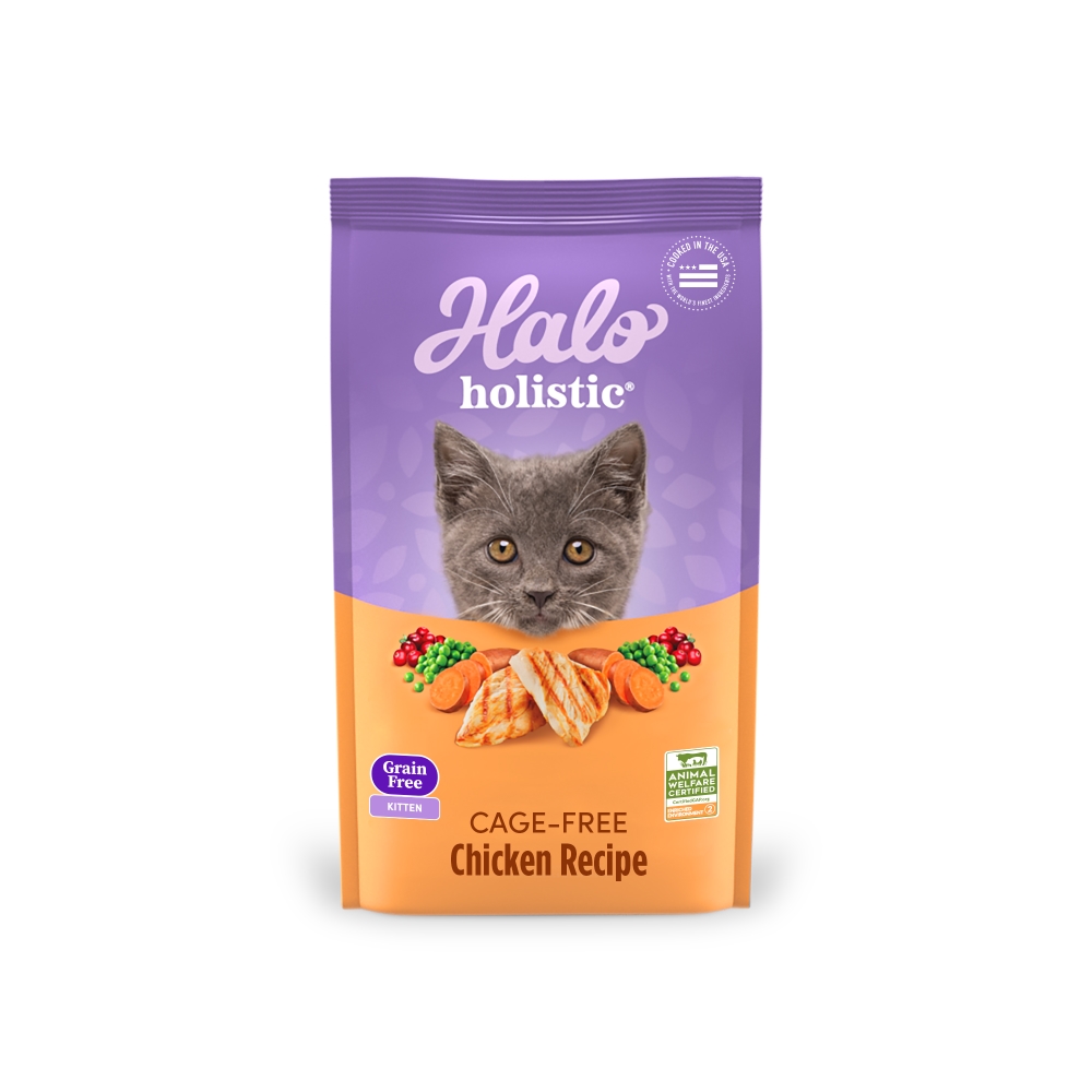 HALO, , large