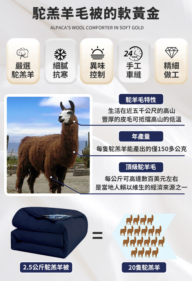 【Hilton 希爾頓】100%頂級金標駝羔羊被2.5公斤, , large