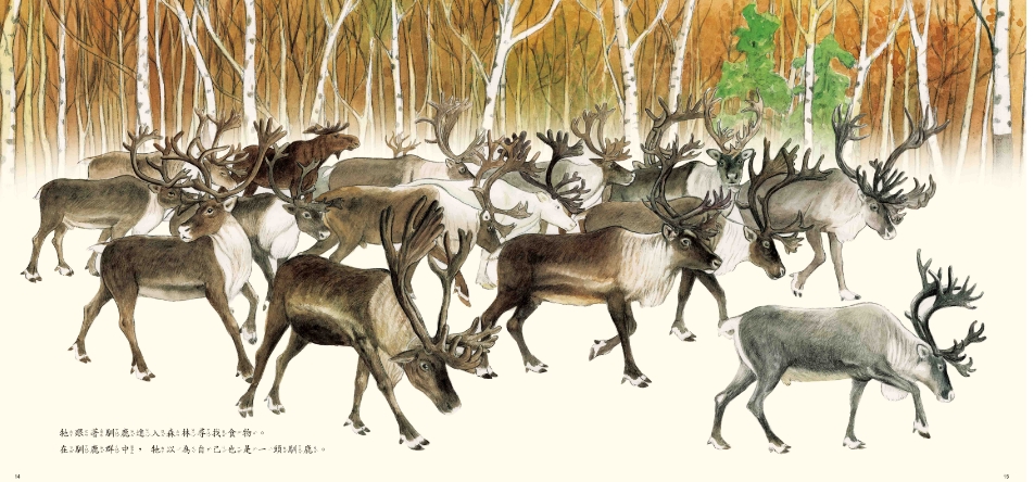 《南門書局》單本繪本館~鄂溫克的駝鹿 1本, , large