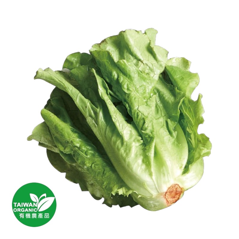 Organic Romaine, , large
