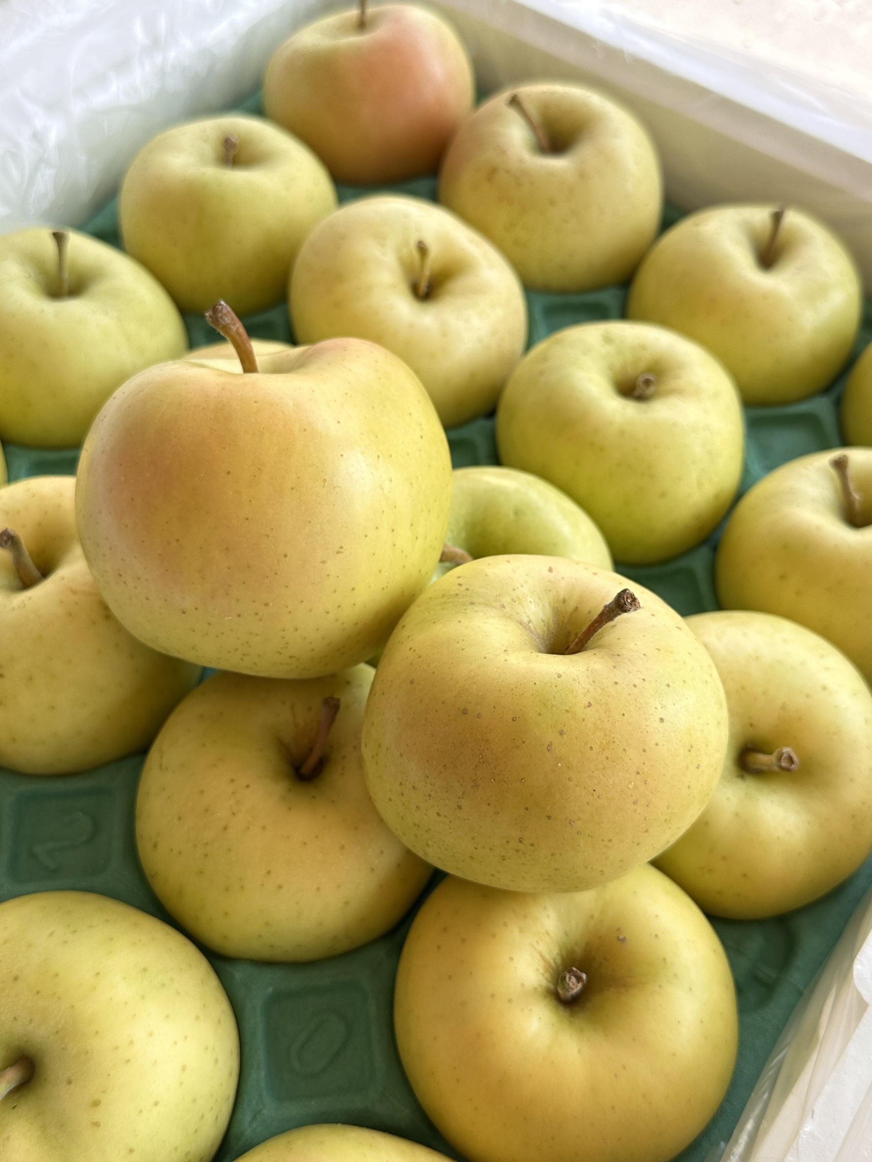 Japanese Toki Apple, , large