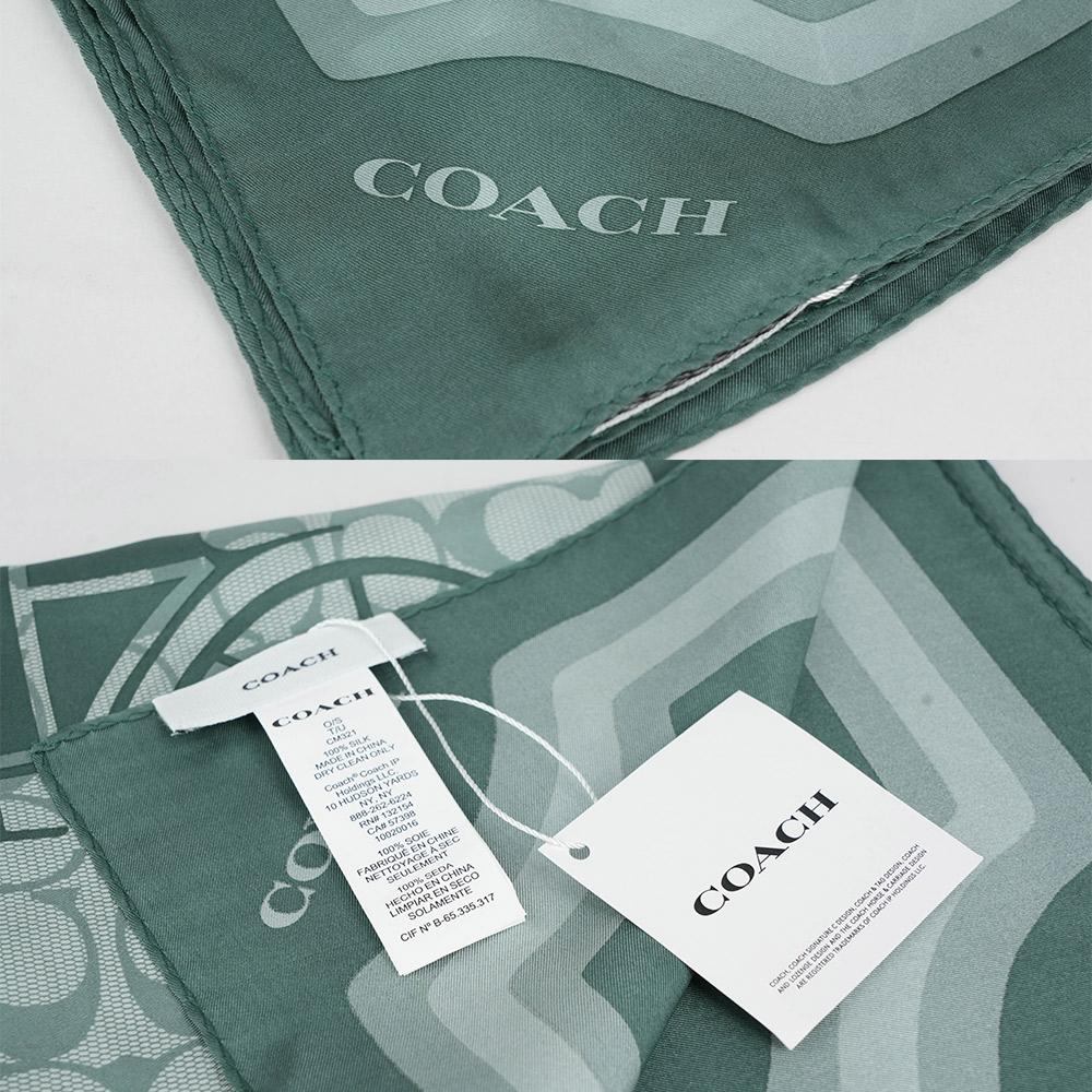 COACH 經典馬與馬車標誌絲質方巾/鼠尾草綠, , large