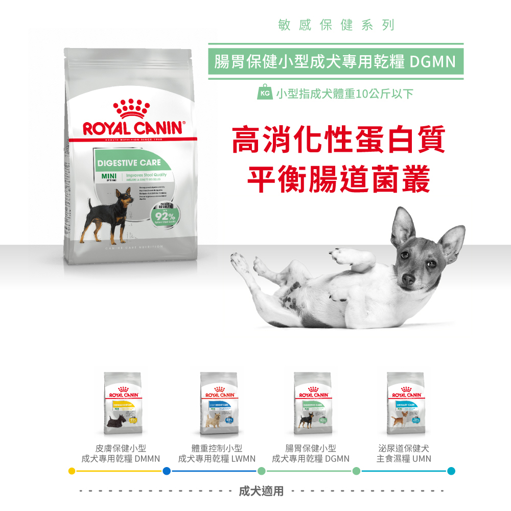 【Royal Canin法國皇家】腸胃保健小型成犬DGMN】腸胃保健小型成犬DGMN, , large