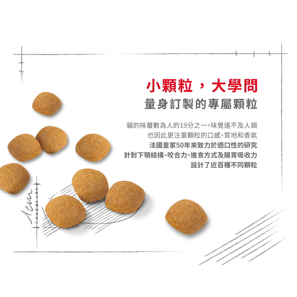 【Royal Canin法國皇家】挑嘴貓營養滿分配方成貓E42, , large