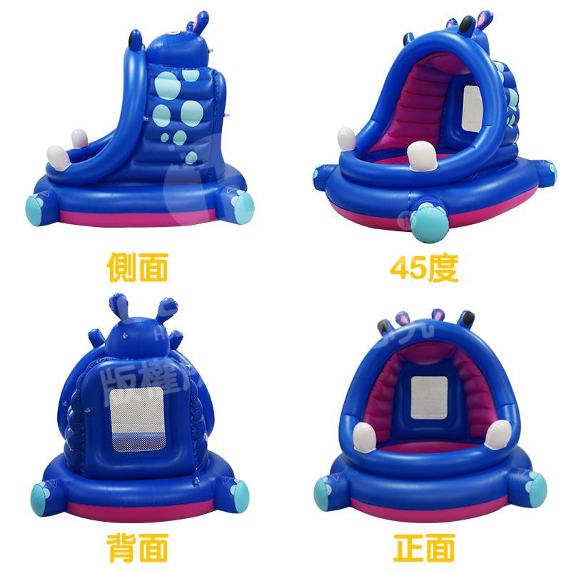 Hippo Swimming Pool , , large