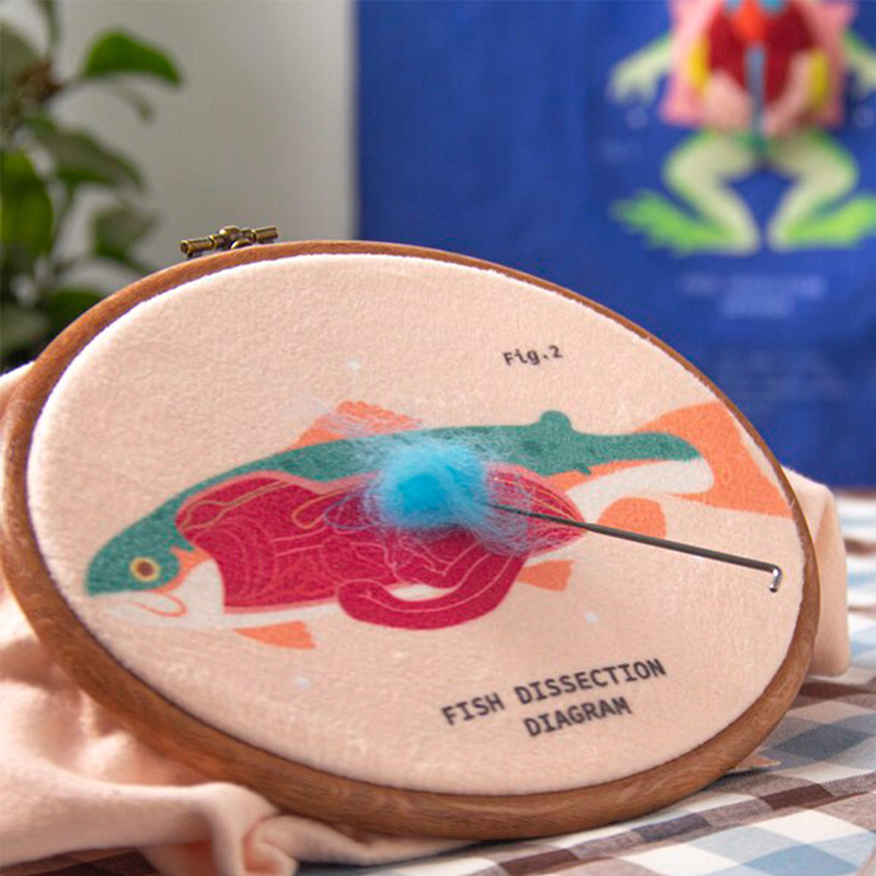 After School - 生物解剖毛氈刺繡套組, , large