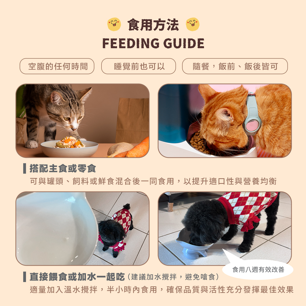 ［營活著］＜全面升級版＞ -【犬貓多國專利】全方位免疫力 抗病毒 健康 長期病患, , large