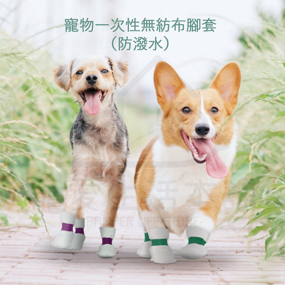 【寵愛生活本舖】寵物一次性腳套 寵物鞋 狗鞋 貓鞋 鞋套, , large
