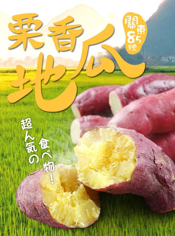 【愛上新鮮】日本栗香地瓜, , large