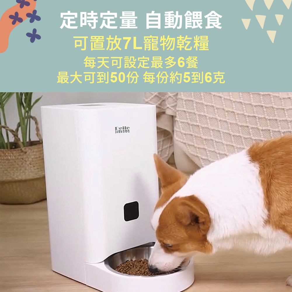 【Peile沛樂】7L單雙槽不繡鋼餐盤 寵物智能餵食器(寵物自動餵食機), , large