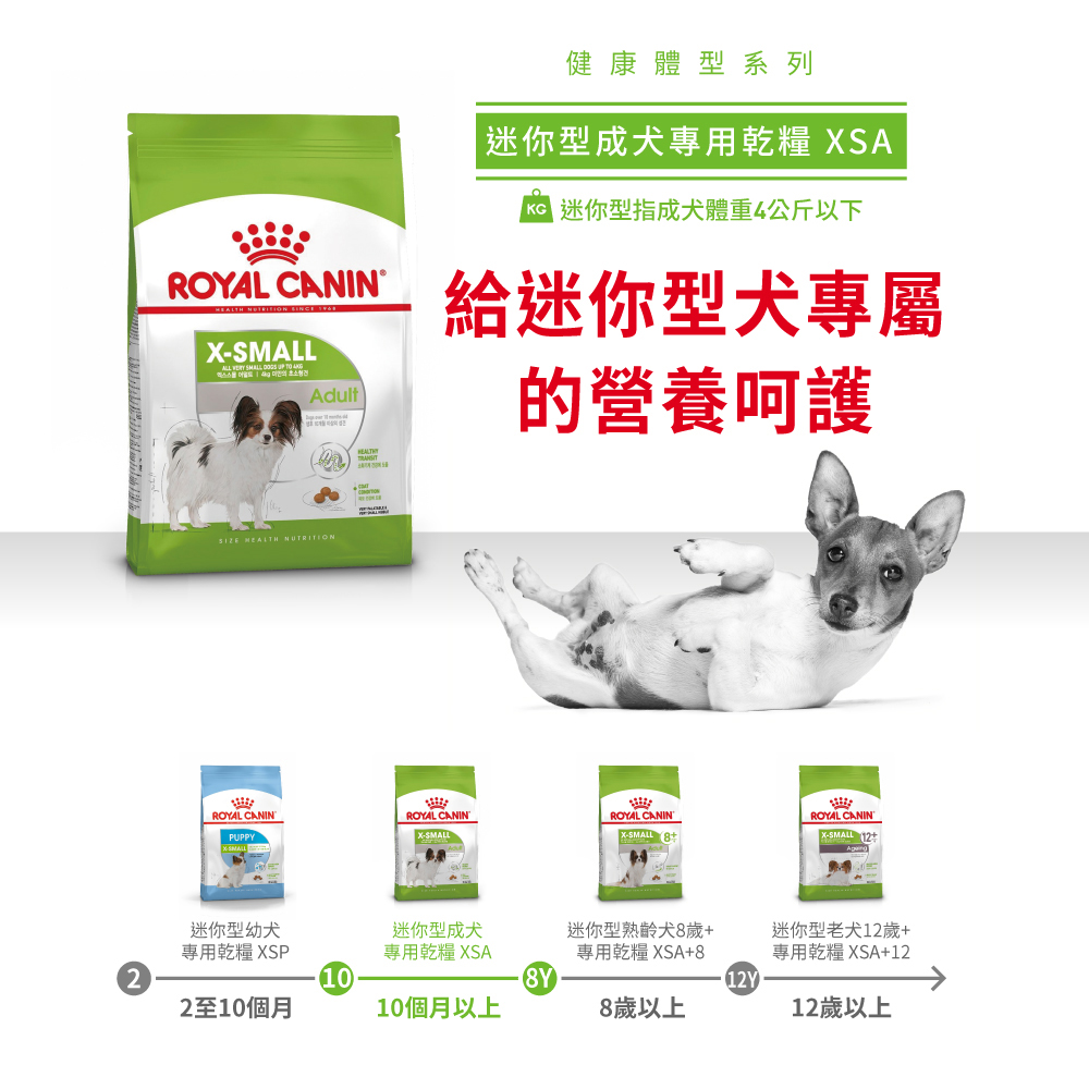 Royal Canin法國皇家 超小型成犬XSA, , large