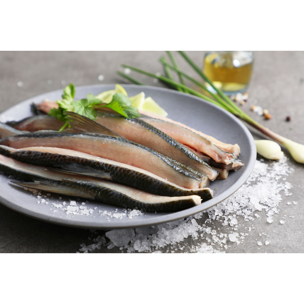 dorsal_fin