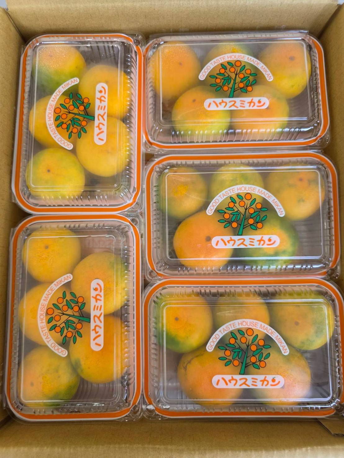 Japanese Air Freight Fukuoka Prefecture, , large