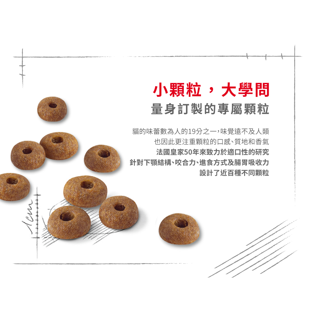 【Royal Canin法國皇家】理想體態成貓F32, , large