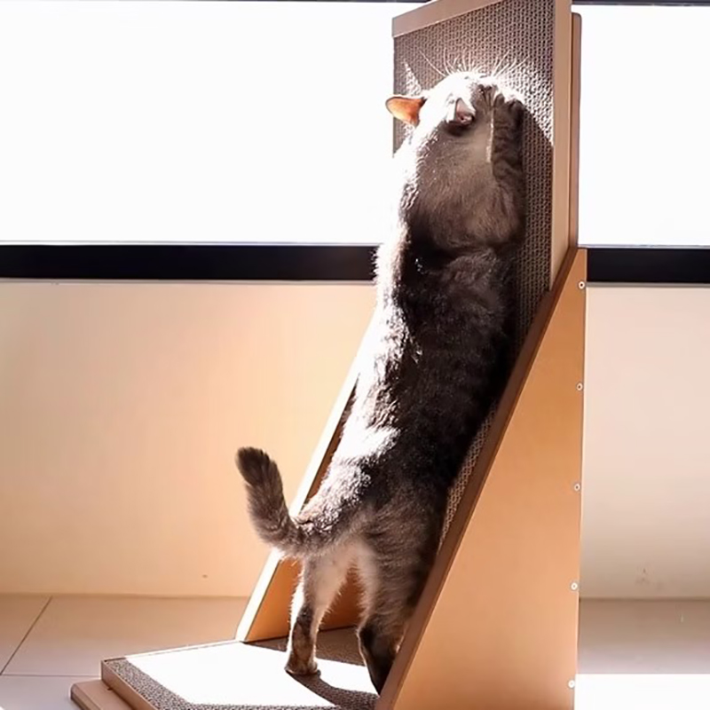 Climbing Cat | Upright Cat Scratching Board, , large