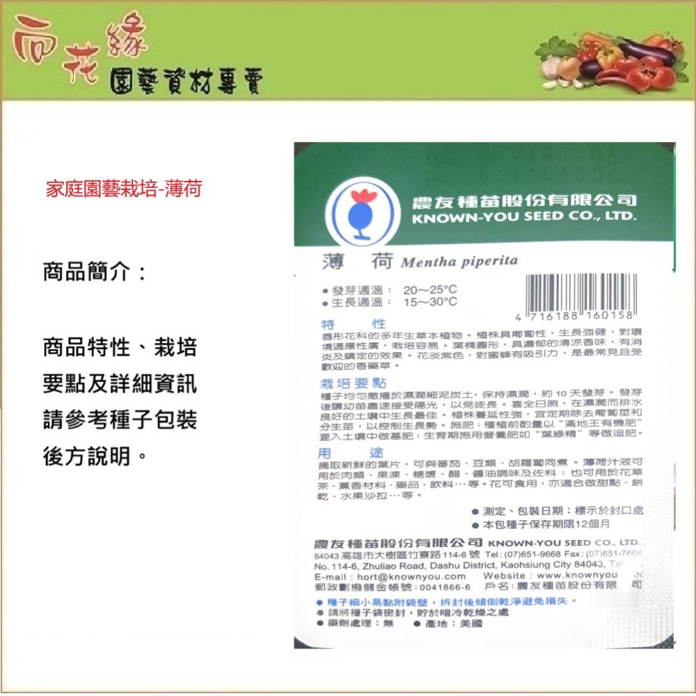 【向花緣】農友 薄荷 - 香藥草種子, , large