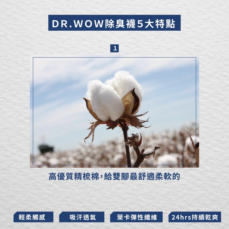 【現貨】MIT台灣製機能抗菌萊卡除臭襪氣墊短襪-男 P2225, , large