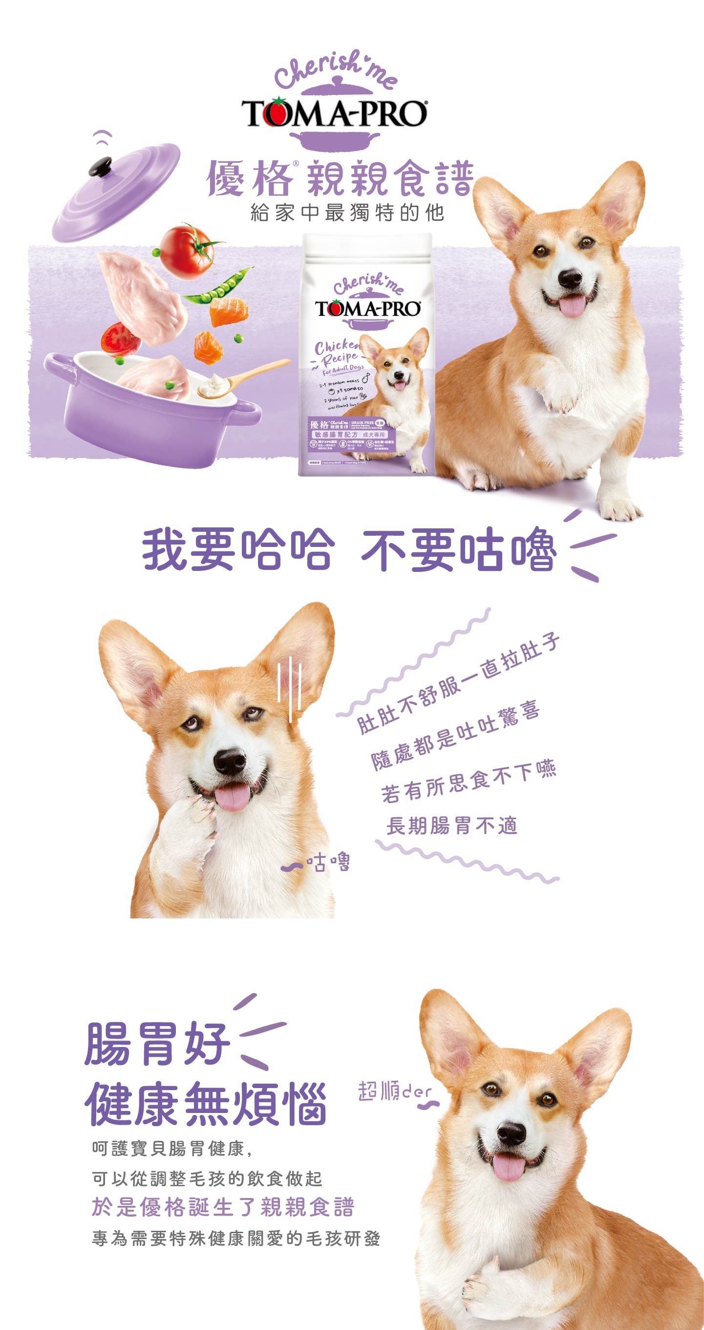 【拉拉寵物小舖】優格 狗飼料 TOMA-PRO 親親系列 成犬 敏感腸胃 14磅 無穀 低敏感, , large