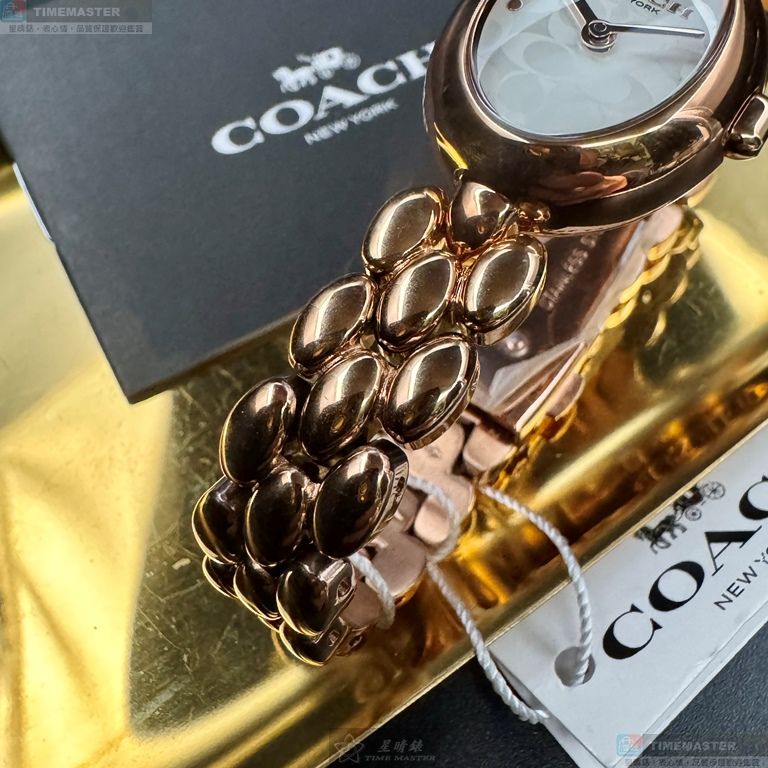 [TIMEMASTER] COACH watch, 22mm28mm, CH00267, , large