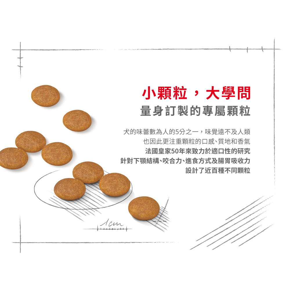 【Royal Canin法國皇家】皮膚保健小型成犬DMMN, , large