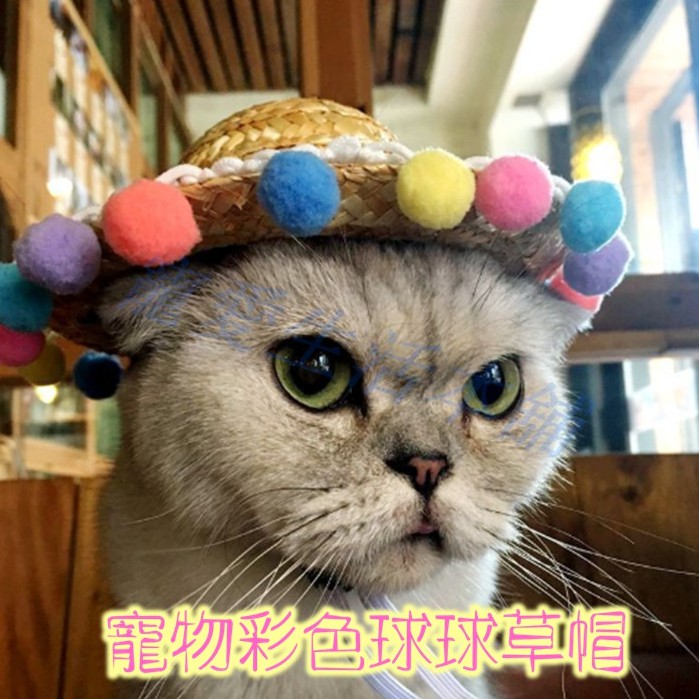 【寵愛生活本舖】寵物夏季彩色球球草帽 寵物帽子 狗帽子 貓帽子 寵物編織帽