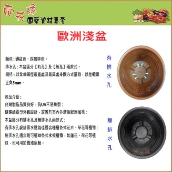 【向花緣】歐洲淺盆 有排水孔 (磚紅色) - 1尺, , large