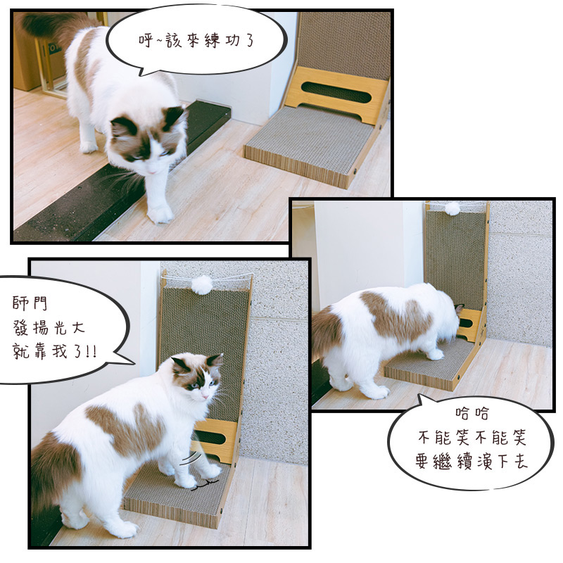 【Y HOUSE】L形貓抓板 貓抓板 多功能貓抓板 可站立貓抓板 直立平面雙面設計, , large