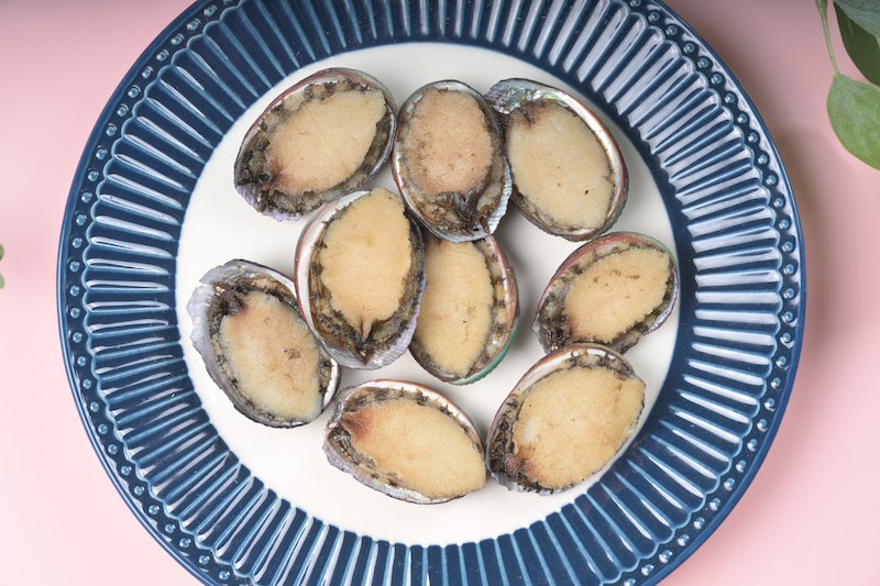 Abalone, , large