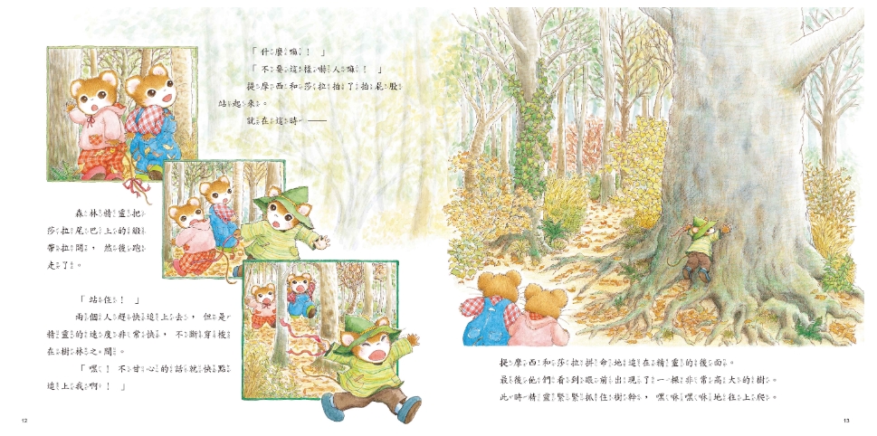 《南門書局》單本繪本館~提摩西和莎拉與森林精靈 1本, , large