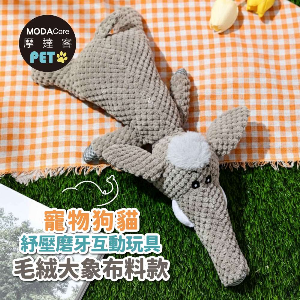 dog toy