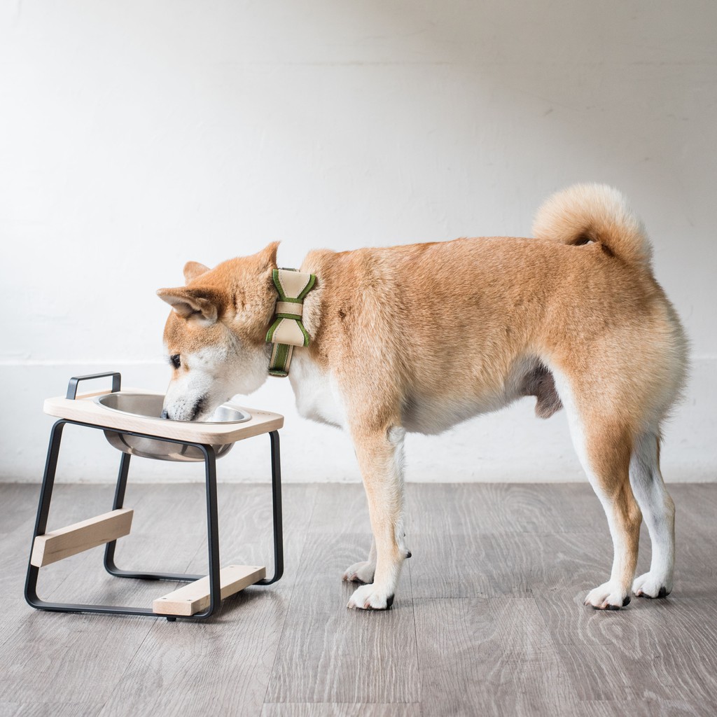 【paipaipets】 Natural Wood Elevated Pet Bowl - M/Maple, , large