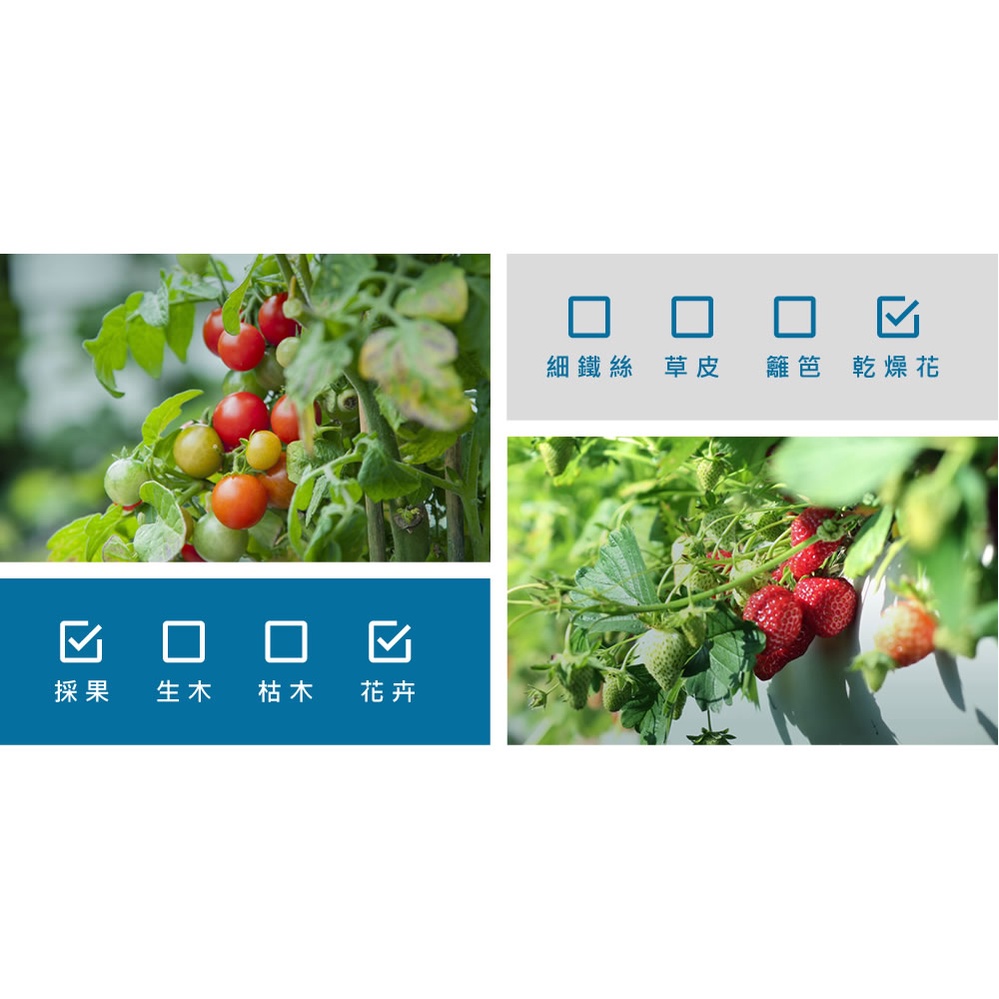 【HOKAS】S517短曲刃芽切剪  (採果剪 盆栽剪刀  園藝剪 花藝剪刀 樹葉剪 剪定鋏 番茄剪 修剪細枝剪), , large