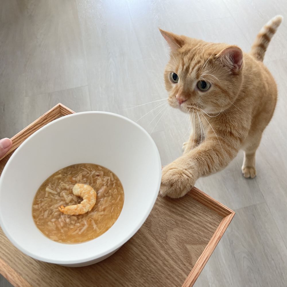 [HhL] MASTER BOWL-Ant-Proof Pet Bowl / Two Bowl (W+W), , large