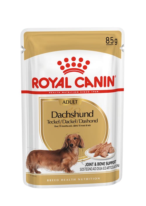 Royal Canin, , large