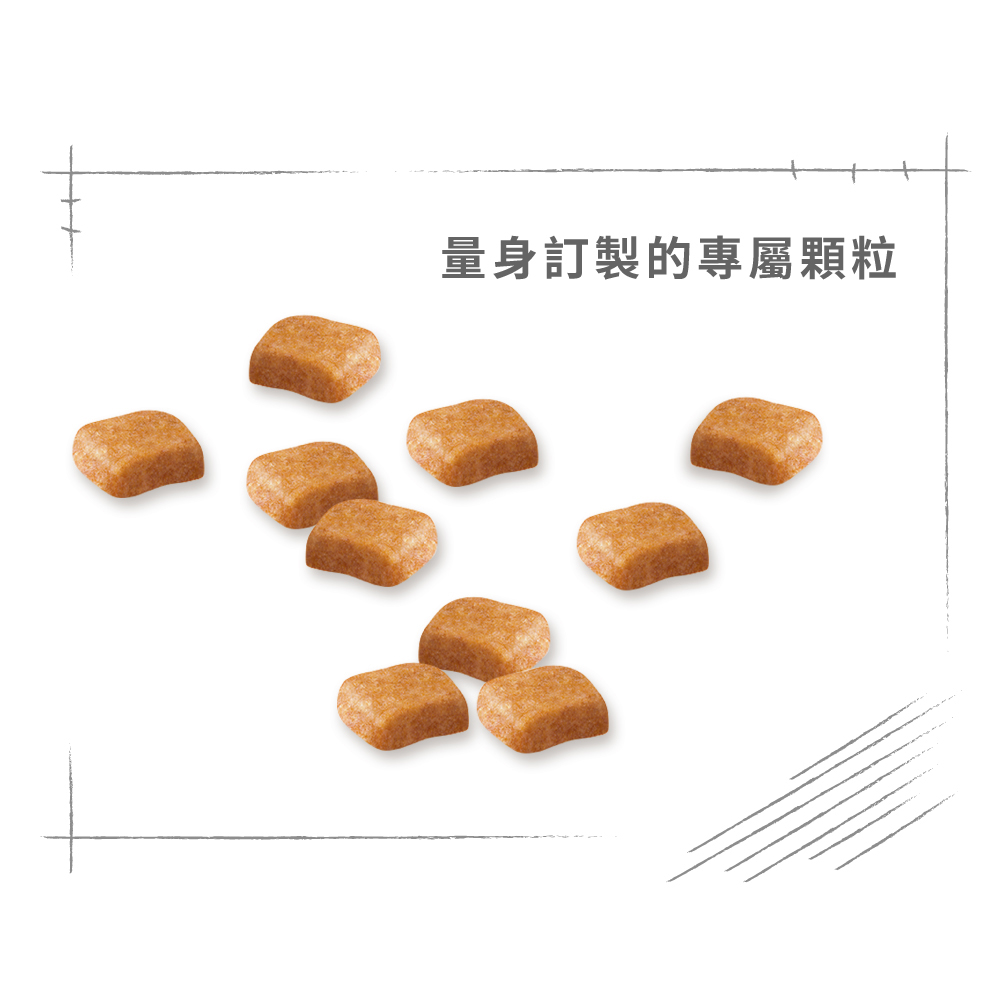 【Royal Canin法國皇家】貴賓幼犬專用乾糧PDP, , large